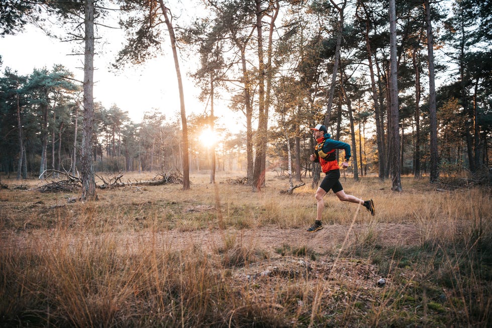 httpsoutdoorachterhoeknltrail routes