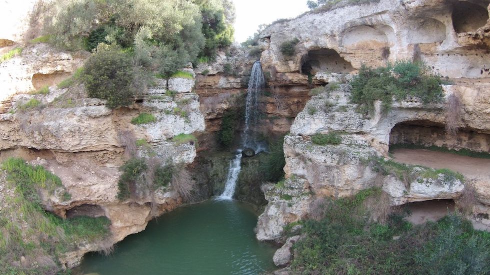 Le Gravine di Puglia sono canyon verdi