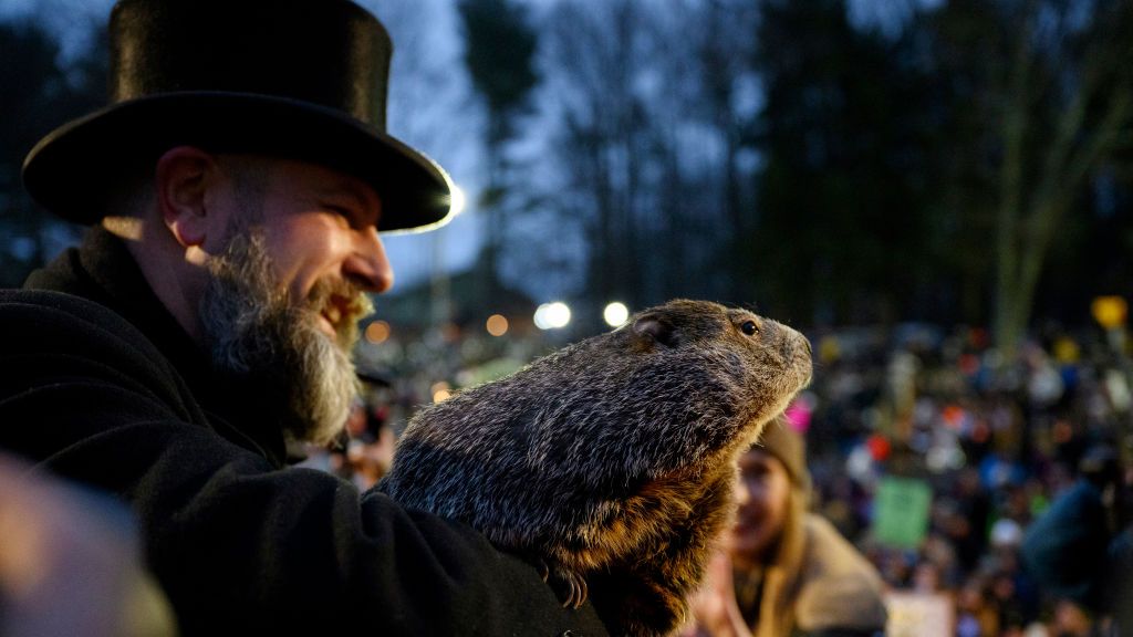 Experts Say Groundhogs Are Actually TERRIBLE at Predicting Weather