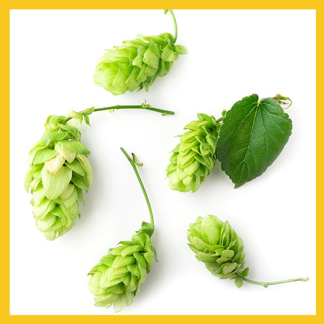 hops