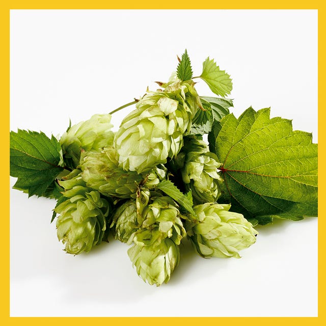 hops