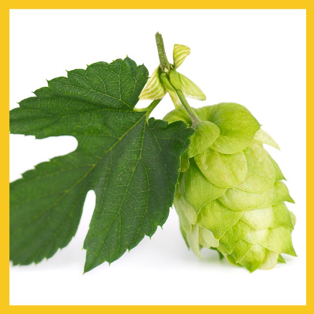 hops