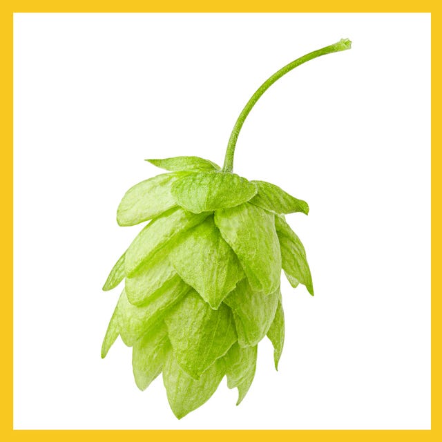 hops