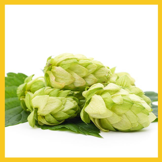 hops