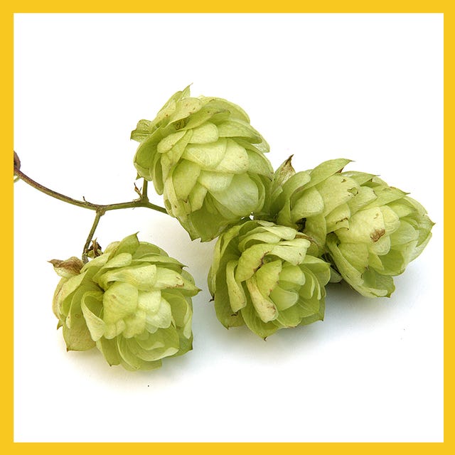 hops