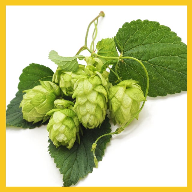 hops
