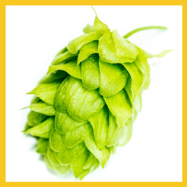 hops