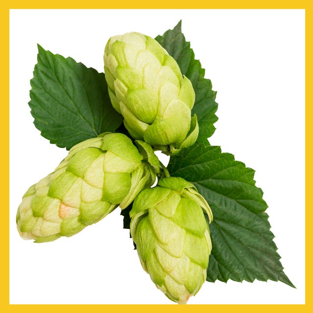 hops