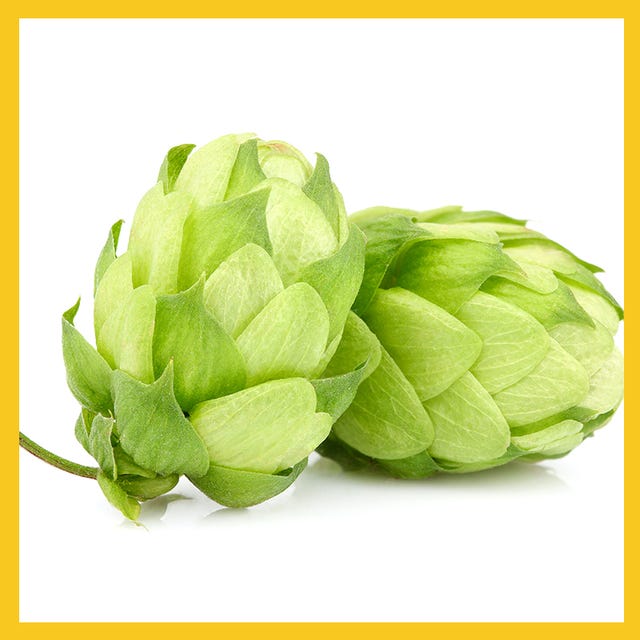 hops