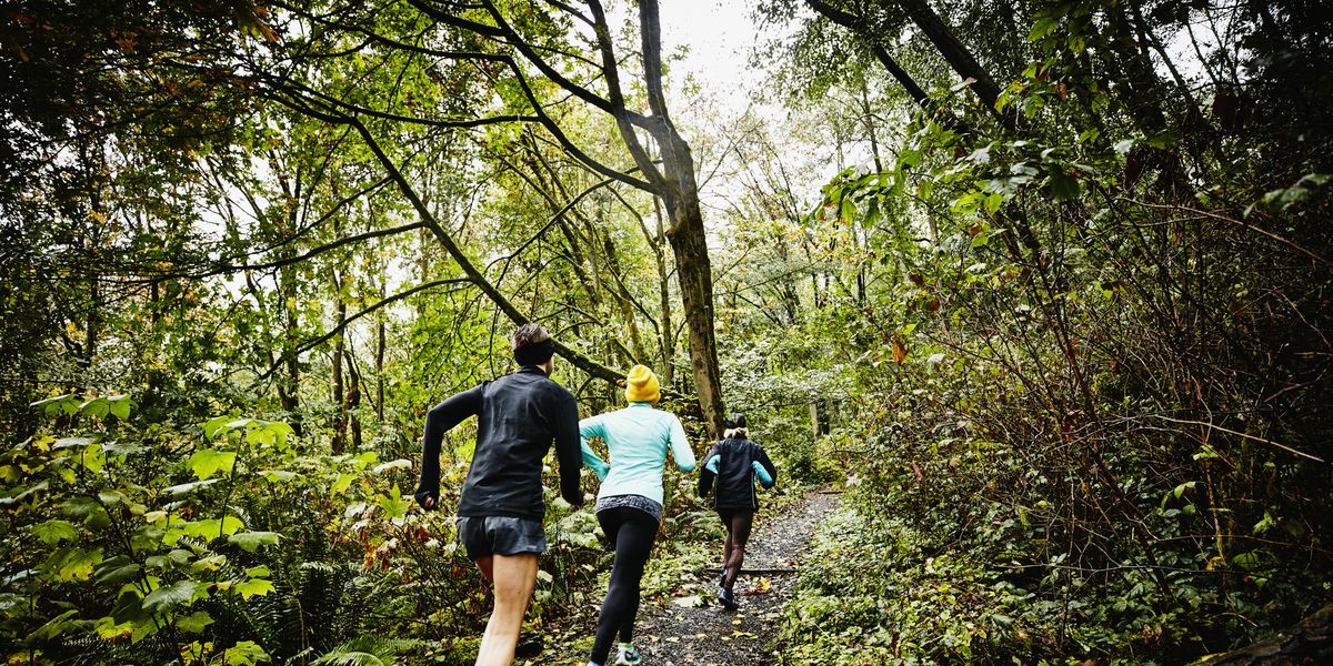 Trailrun kalender 2025: deze trails zijn in Nederland de moeite waard