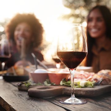 group of friends having fun at bbq dinner in garden restaurant multiracial people cheering red wine sitting outside at bar table social gathering, youth and beverage lifestyle concept