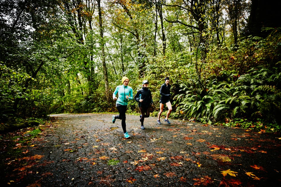 Corredores en un bosque