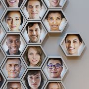 group of hexagonal portrait pods, one joining