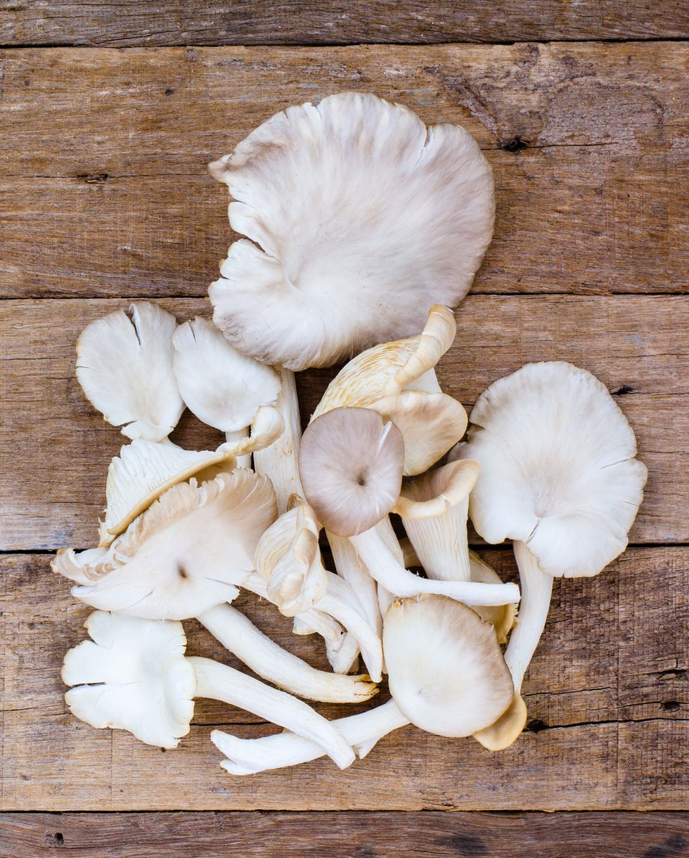 group of oyster mushroom on wooden table