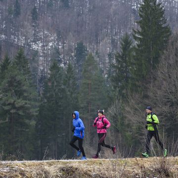 group of people jogging in nature