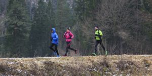 group of people jogging in nature