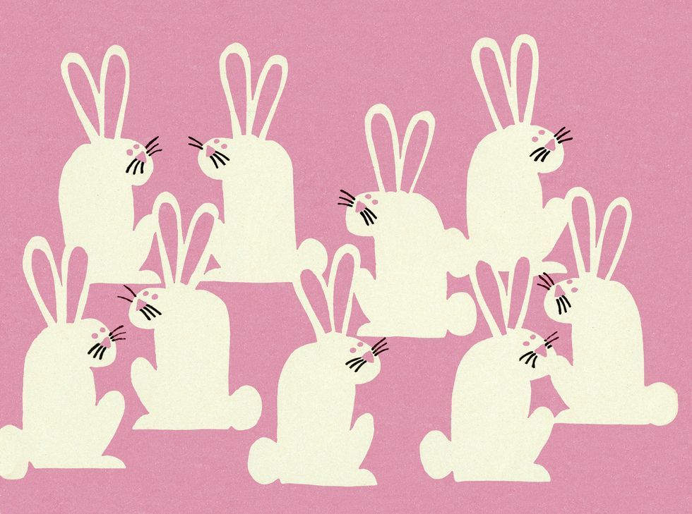 Rabbits and Hares, Hare, Rabbit, Illustration, Art, 