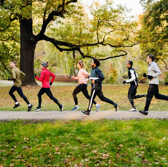 a group of runners racing through the park