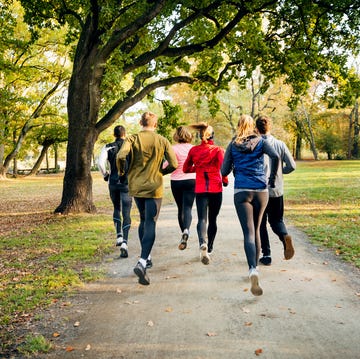A group of unrecognisable runners running through the park a group of unrecognisable runners running through the park