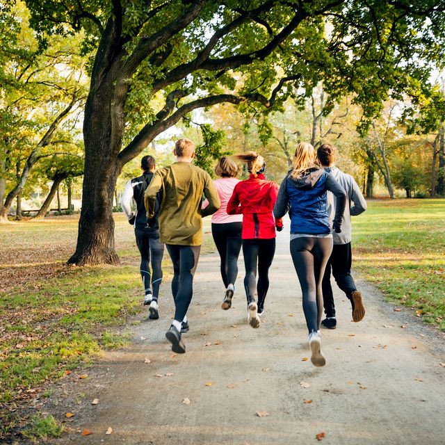 a group of unrecognisable runners running through the park