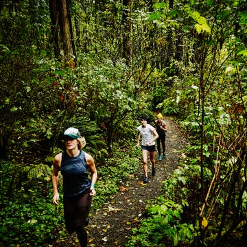 Mujeres corriendo despacio por el bosque mujeres corriendo despacio por el bosque