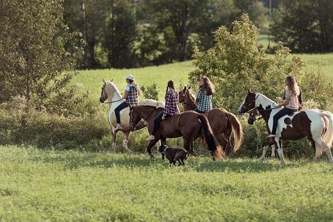 Group of young horse riders