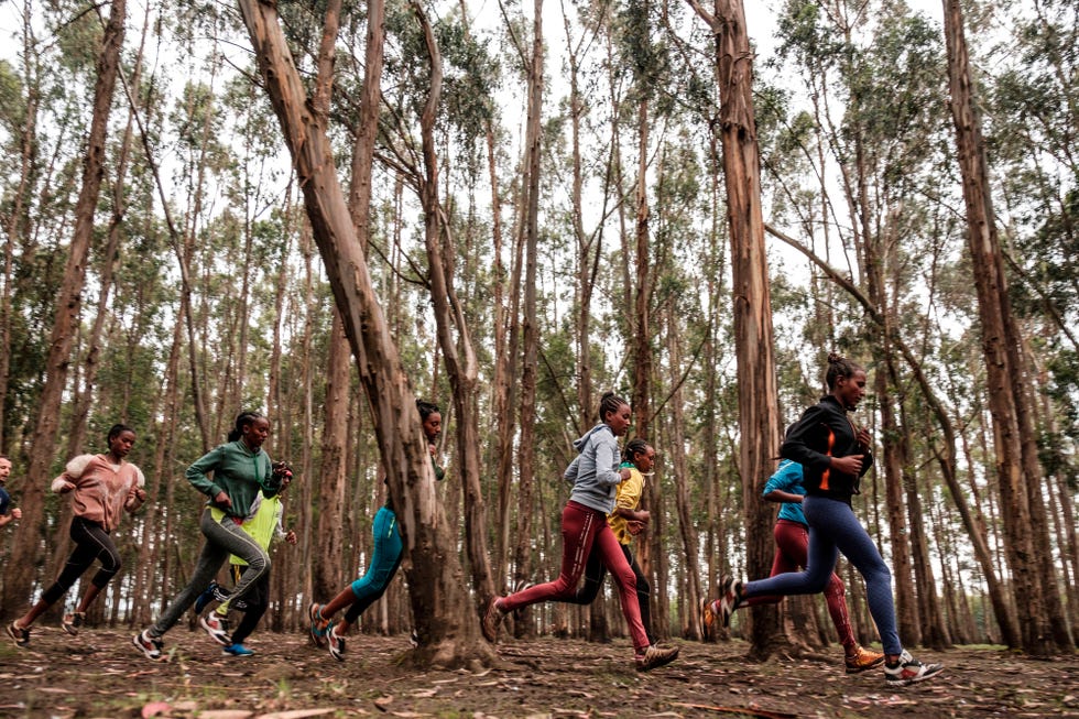 un grupo de atletas de etiopía se entrena en grupo en un bosque