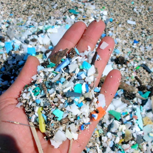 Grove Collaborative Eliminate Plastic grove collaborative eliminate plastic