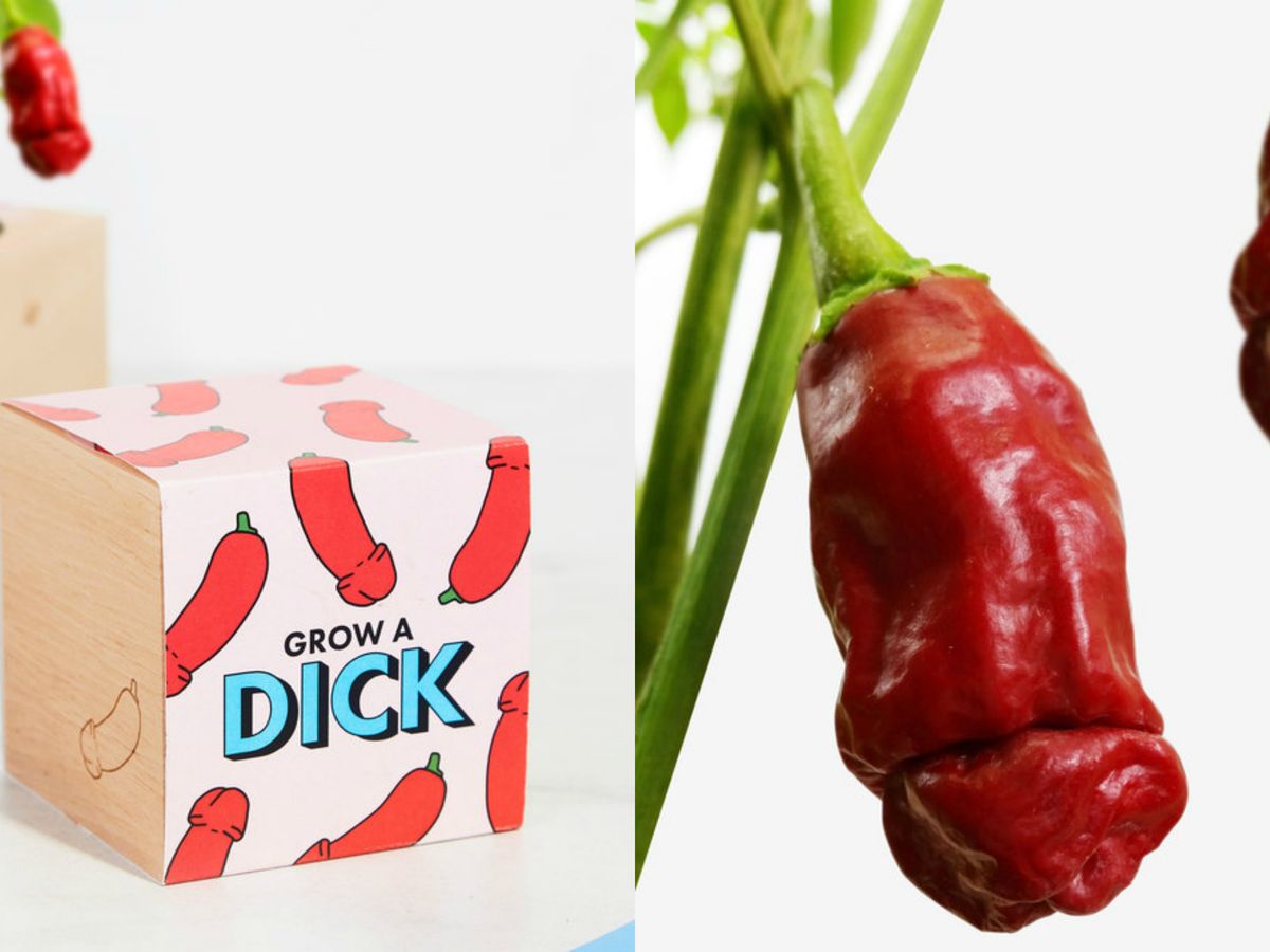 neutrale 鍔 twee Firebox's Grow a Dick Willy Chillies Kit Produces Very Phallic Peppers That  Are NSFW