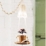 This is an image best grow lights