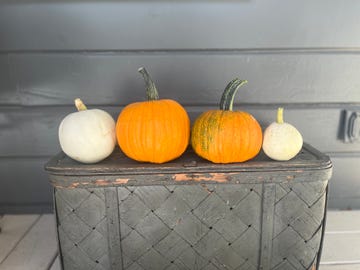 four pumpkins in a row