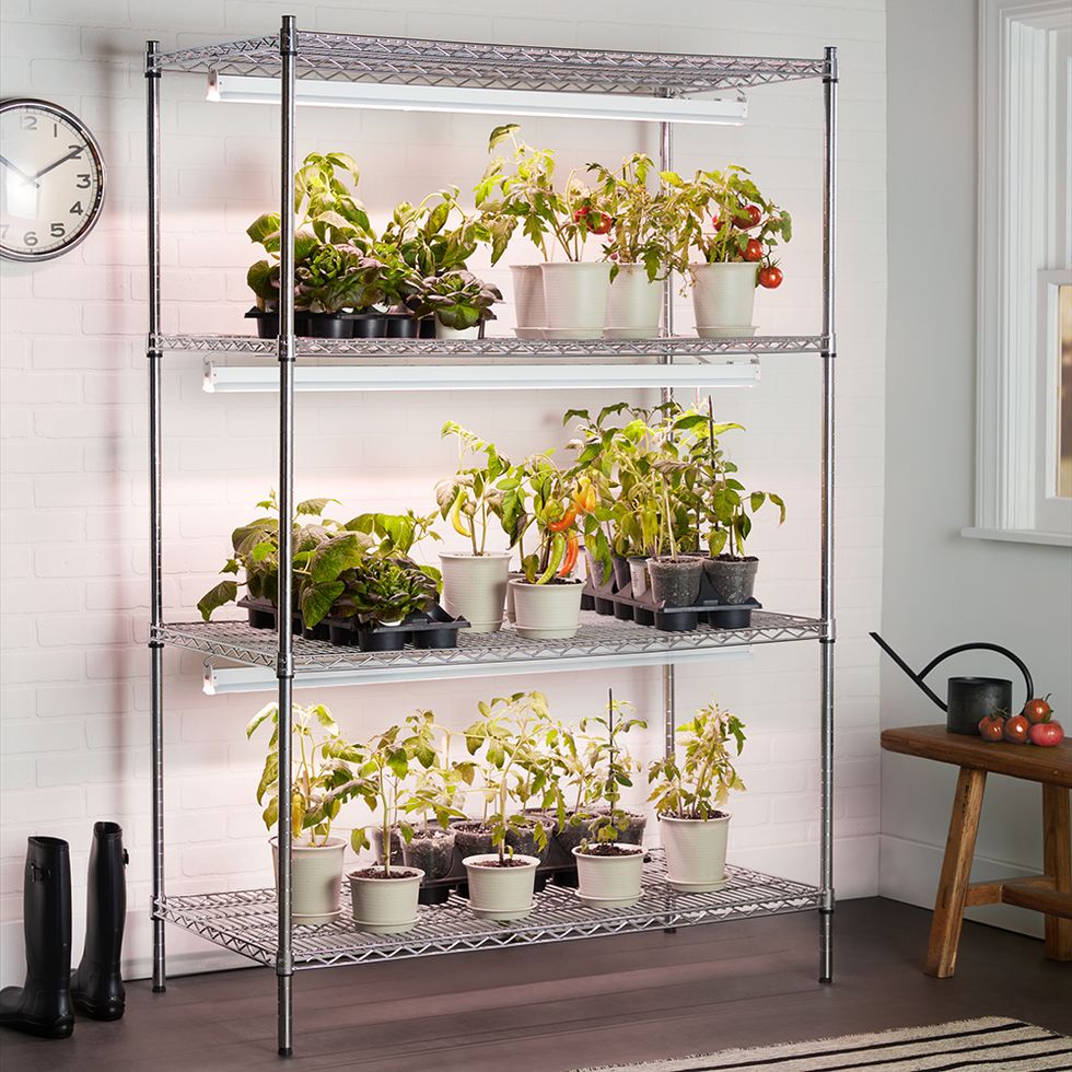 GE Lighting grow light indoor garden plants