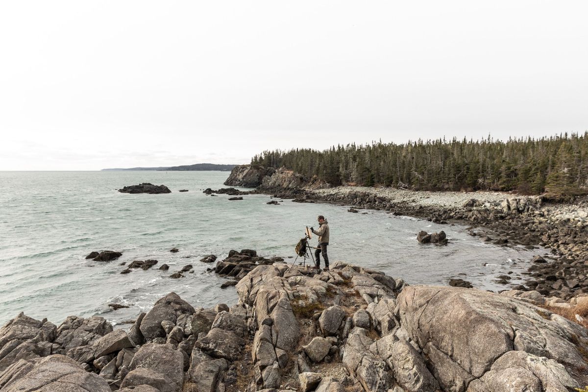 In het kader van een n jaar durend project legt kunstenaar Tim Wilson de wilde natuur aan de kust van de staat Maine vast