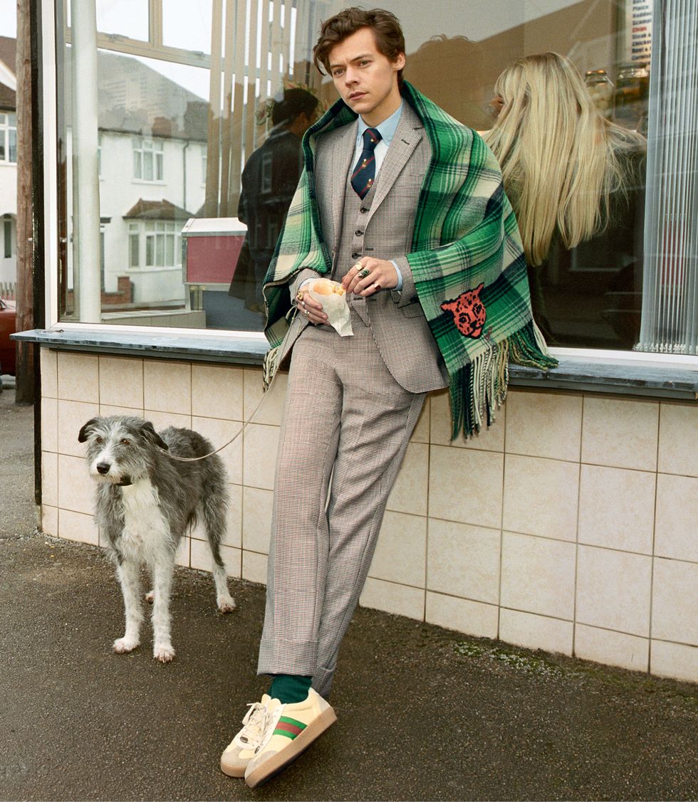 Oversigt Bevæger sig ikke Egnet Harry Styles Stars in Gucci Men's Tailoring Campaign - Harry Styles Gucci  Ads