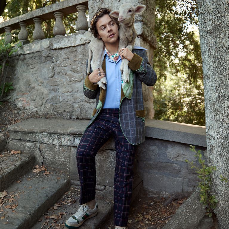 Harry Styles Gucci Campaign Photos - Harry Styles Kisses a Goat and Feeds a  Piglet in Gucci Tailoring Photos