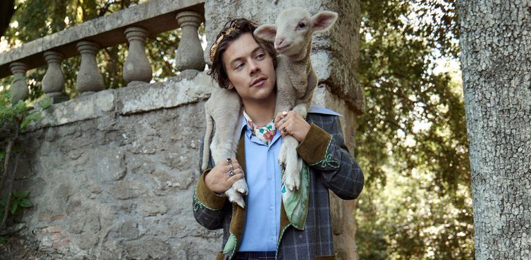 Harry Styles Shirtless For Gucci Campaign: Photos – Hollywood Life