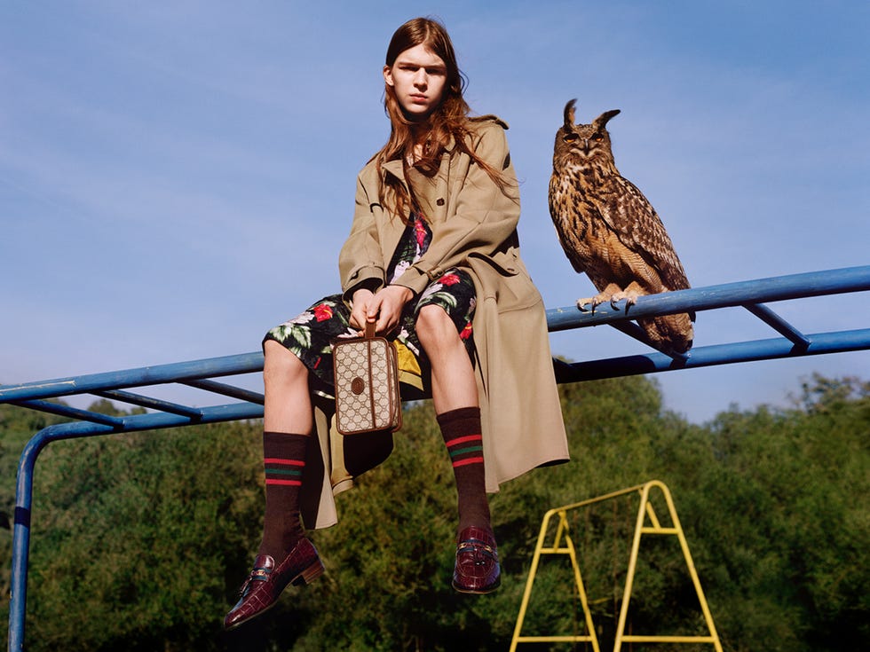 gucci campaign pre fall 2020   ﻿alasdair mclellan