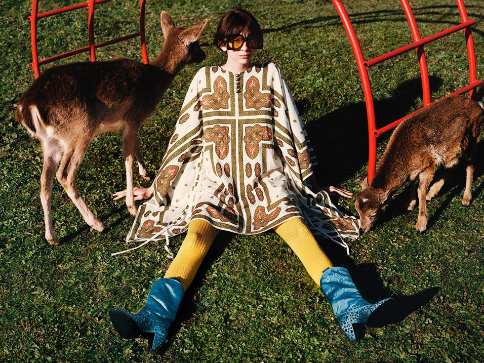 gucci campaign pre fall 2020   ﻿alasdair mclellan