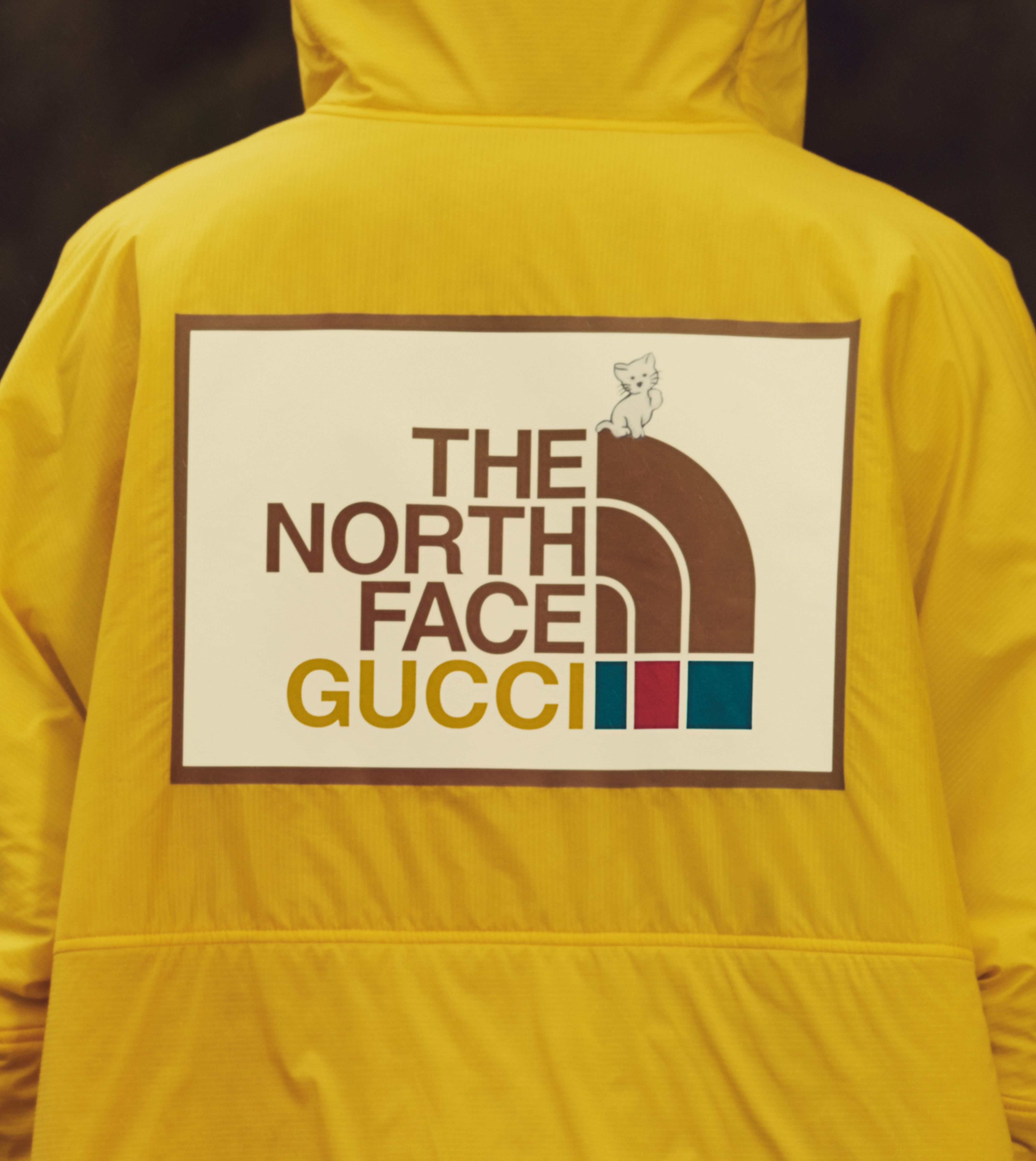 The North Face x Gucci Is Back and Less Affordable Than Ever