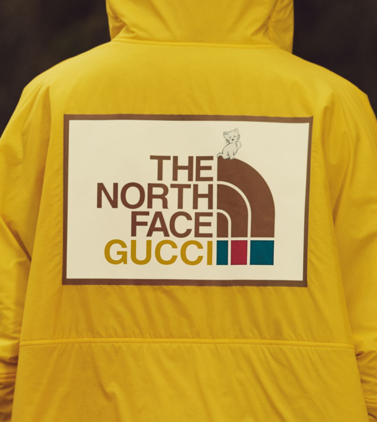 Puffer The North Face x Gucci Beige size XS International in Cotton -  29355452