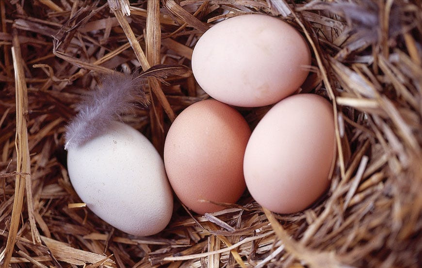 eggs can help guard against cancer