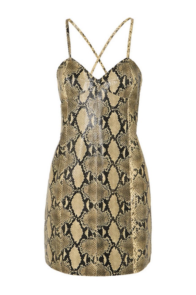 Snake Print: How To Wear It And Where To Buy It Now