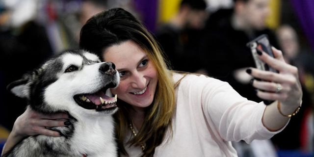 Westminster Kennel Club Hosts Meets The Breed Agility Show Ahead Its Annual Dog Show