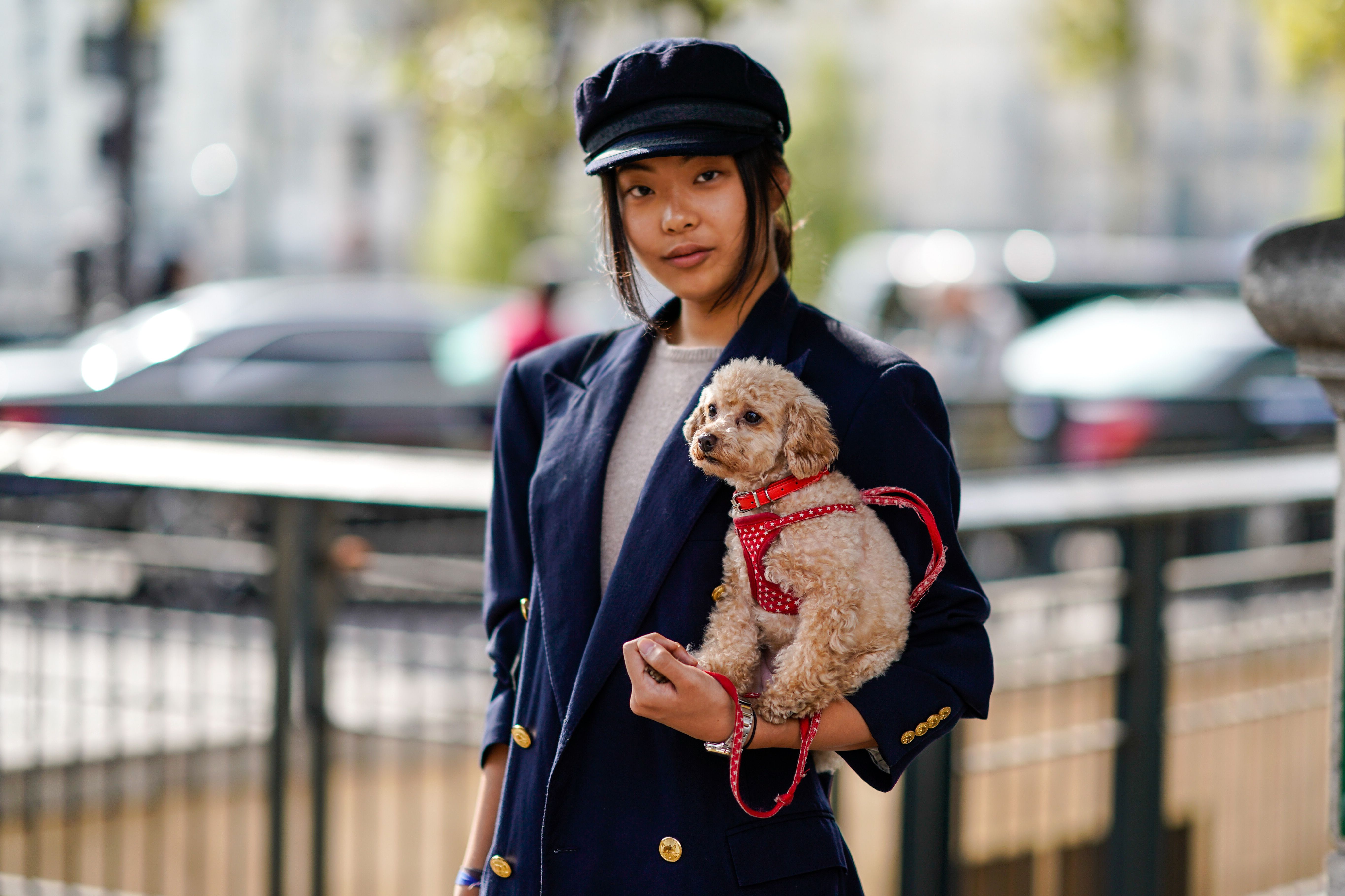 Gracias a H&M, ahora también vestir a tu perro - Amantes de los perros: H&M tiene la colección que estabais esperando