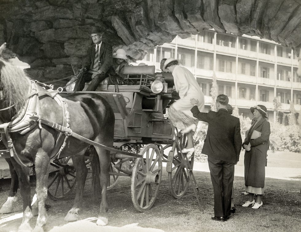 Horse and buggy, Horse harness, Horse, Vehicle, Wagon, Carriage, Mode of transport, Cart, Working animal, Rein, 