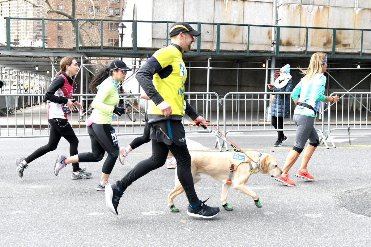 Guiding Eyes For The Blind President And CEO, Thomas Panek, Runs First-Ever 2019 United Airlines NYC Half Led Completely By Guide Dogs