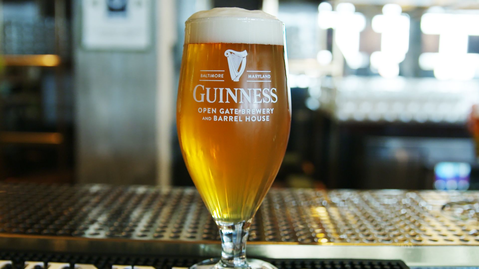 Guinness Blonde - Guinness - Buy Craft Beer Online - Half Time