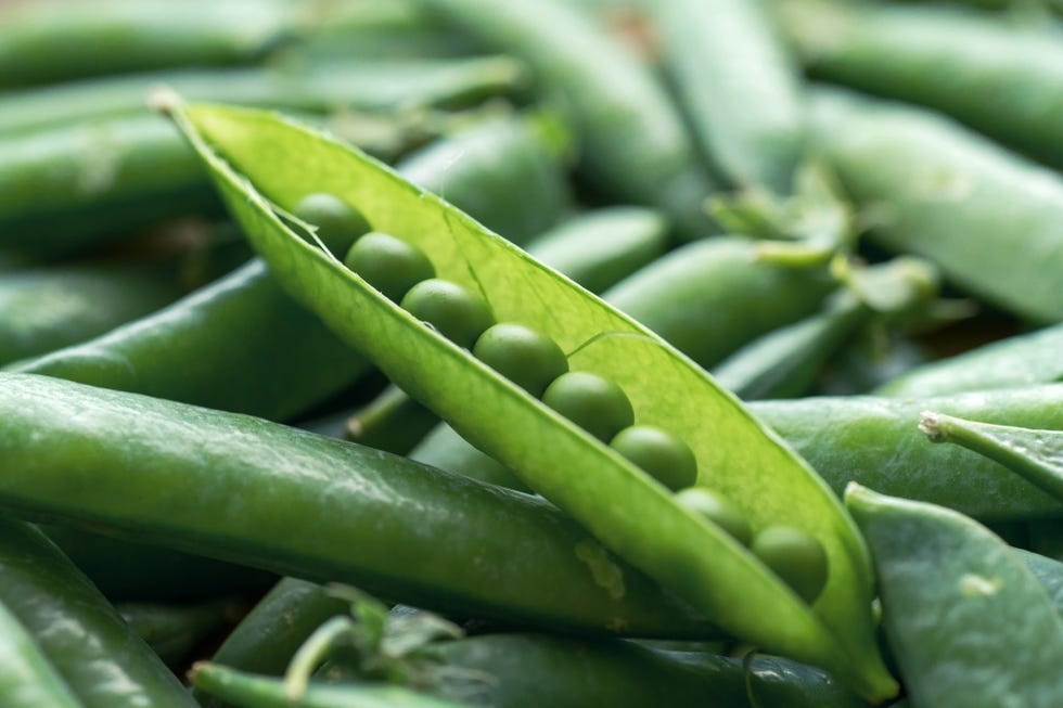 20 alimentos con proteínas vegetales