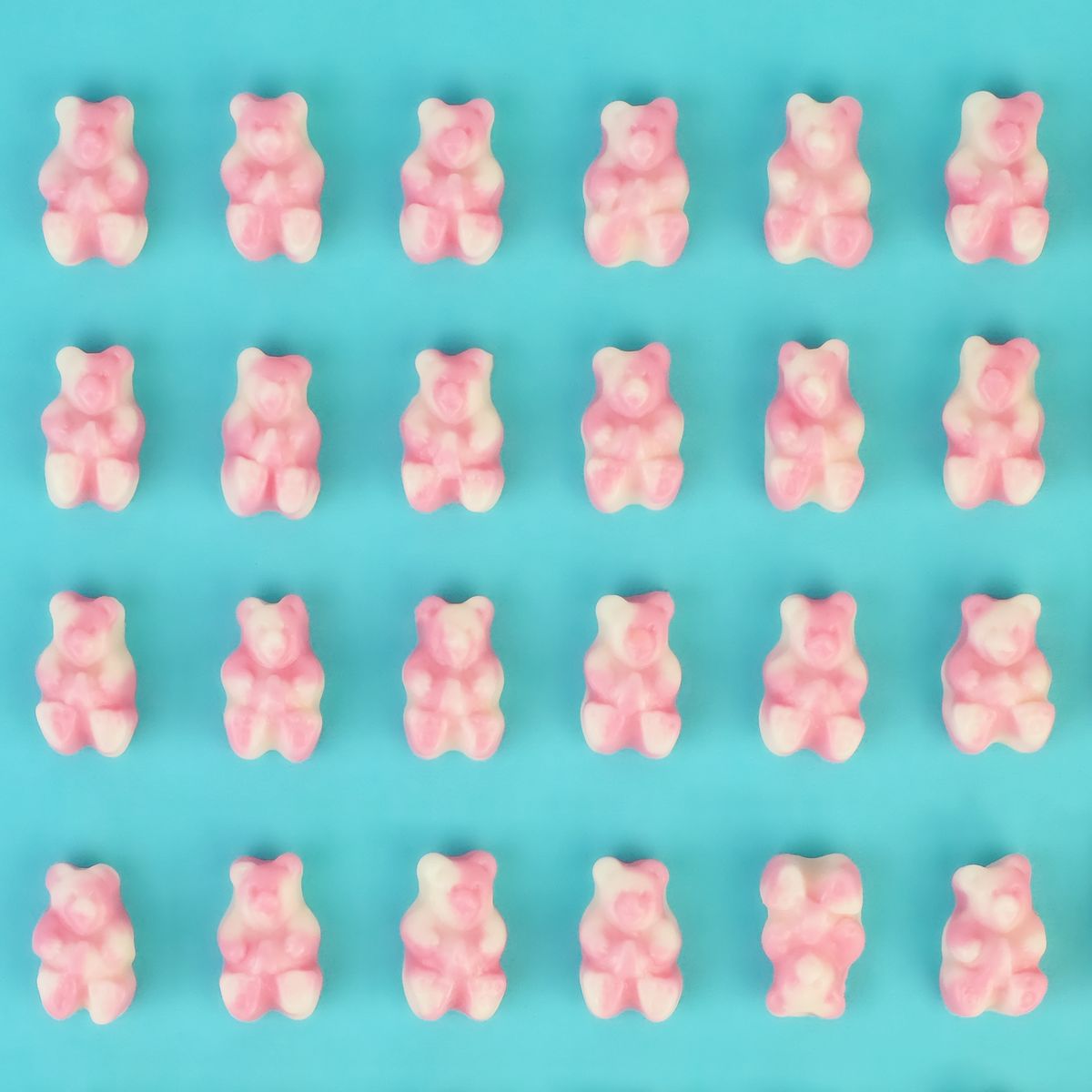 Gummy Bear Grid