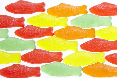gummy fish candy on white background